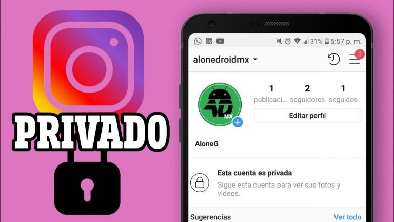 Cómo ver una cuenta privada de Instagram