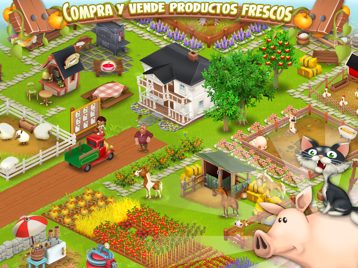 hay day