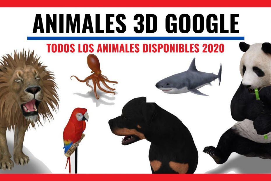 todos animales en realidad aumentada