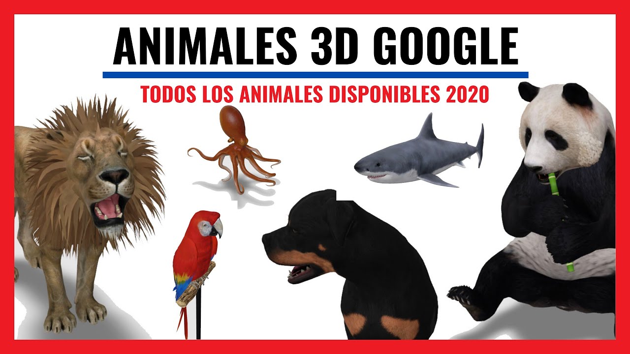 Cómo usar los animales en realidad aumentada de Google