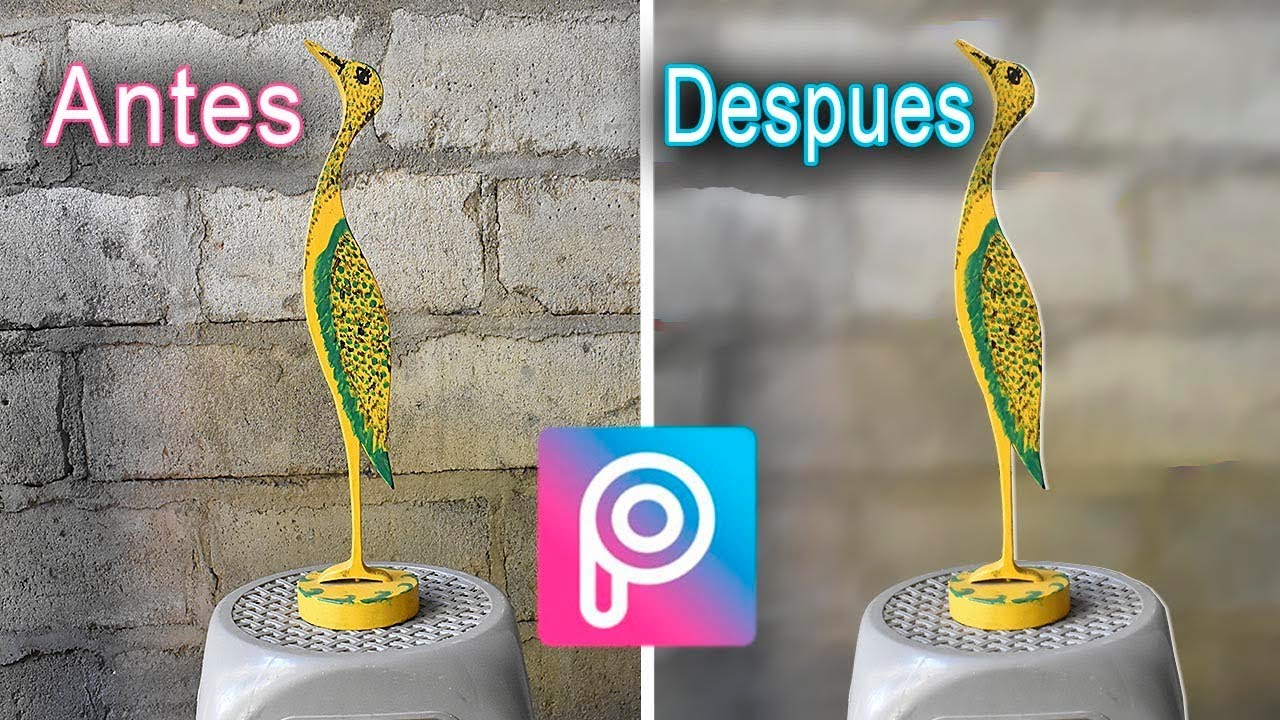 5 Aplicaciones para poner el efecto fondo borroso y difuminar fotos