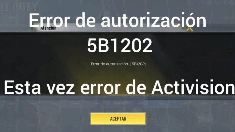 Error de autorizacion b